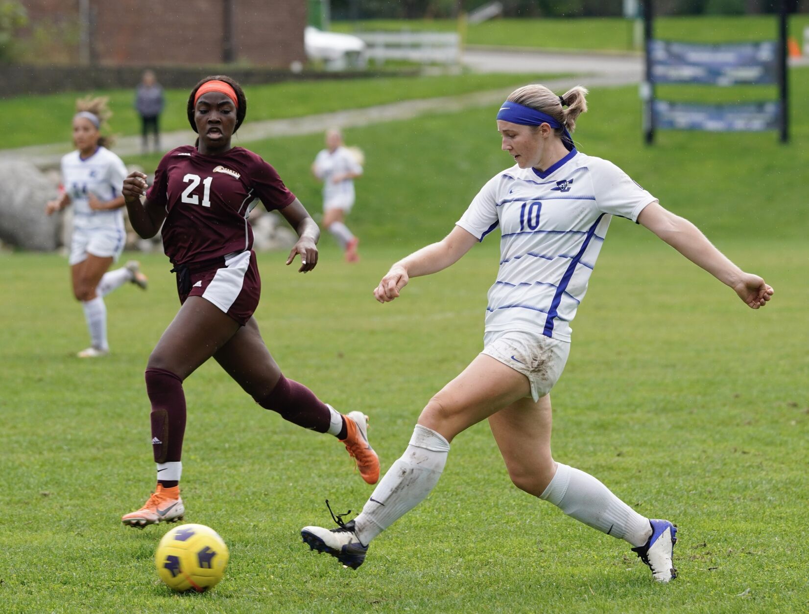 Tatyjana Scalisi daemen women's soccer